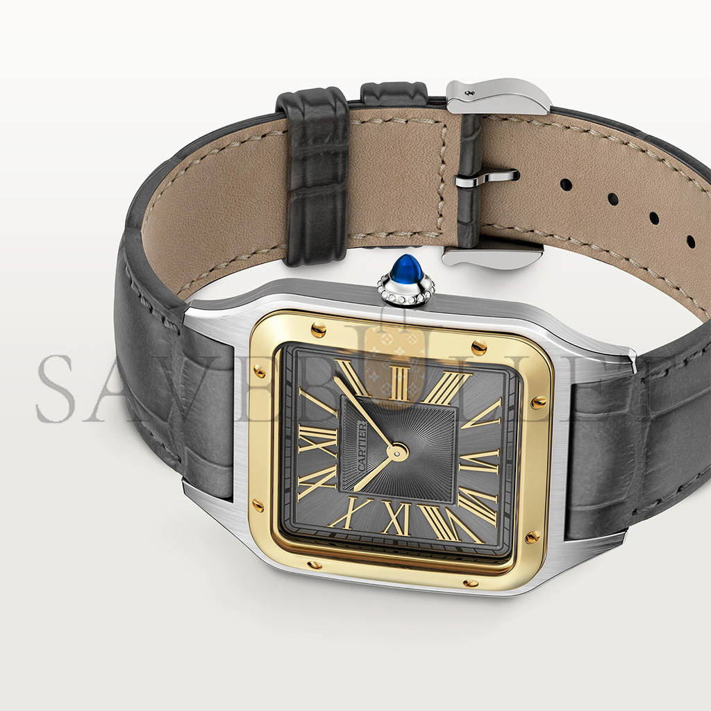 CARTIER SANTOS-DUMONT 44MM WATCH W2SA0028